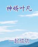 神婿叶凡全文阅读
