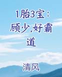 1胎3宝：顾少,好霸道