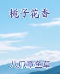 栀子花香电子书