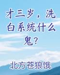 才三岁，洗白系统什么鬼？免费阅读笔趣阁