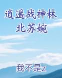 逍遥战神林北苏婉小说短剧