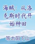 海贼：从洛克斯时代开始种田原著小说
