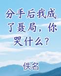 分手后我成了聂局，你哭什么？