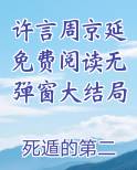 女主许言男主周瑾年的小说