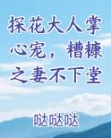 探花大人掌心宠，糟糠之妻不下堂小说5200