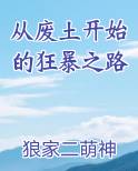 从废土开始的狂暴之路