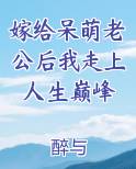 嫁给呆萌老公后我走上人生巅峰原著小说