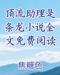 顶流助理是条龙小说全文免费阅读