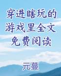 穿进瞎玩的游戏里全文免费阅读