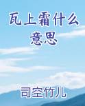 瓦上霜什么意思原著小说