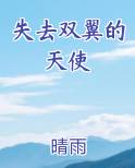 失去双翼的天使