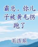 霸总，你儿子被黄毛拐跑了