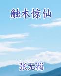 触木惊仙免费小说